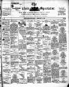 Bangalore Spectator Saturday 17 February 1877 Page 1