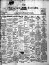 Bangalore Spectator Thursday 21 February 1878 Page 1