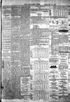 Bangalore Spectator Tuesday 28 January 1879 Page 3