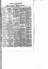 Bangalore Spectator Friday 07 March 1884 Page 5