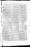 Indian Daily News Friday 05 November 1875 Page 17