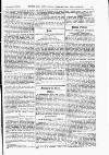 Indian Daily News Friday 03 December 1875 Page 19