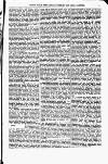 Indian Daily News Friday 01 February 1878 Page 29