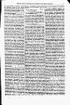 Indian Daily News Friday 01 February 1878 Page 31