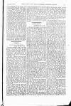 Indian Daily News Friday 05 April 1878 Page 13