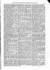 Indian Daily News Friday 17 May 1878 Page 25