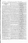 Indian Daily News Tuesday 11 June 1878 Page 13