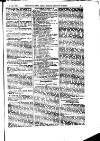 Indian Daily News Tuesday 01 January 1884 Page 17
