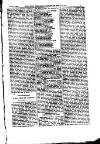 Indian Daily News Tuesday 08 January 1884 Page 7