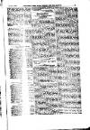 Indian Daily News Tuesday 08 January 1884 Page 23