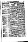 Indian Daily News Tuesday 08 January 1884 Page 25