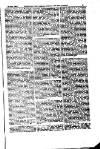 Indian Daily News Tuesday 08 January 1884 Page 27