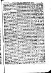 Indian Daily News Tuesday 08 January 1884 Page 33