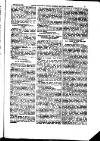 Indian Daily News Saturday 30 August 1884 Page 33