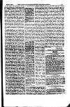 Indian Daily News Tuesday 06 January 1885 Page 25