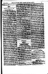 Indian Daily News Tuesday 06 January 1885 Page 35