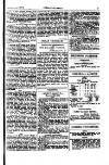Indian Daily News Wednesday 25 September 1895 Page 25