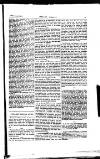 Indian Daily News Wednesday 13 January 1897 Page 33