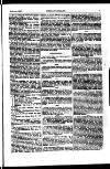 Indian Daily News Thursday 21 June 1900 Page 25