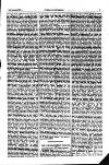 Indian Daily News Thursday 03 January 1901 Page 19