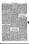 Indian Daily News Thursday 21 March 1901 Page 31