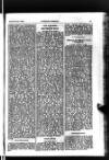 Indian Daily News Thursday 21 November 1901 Page 21