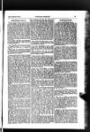 Indian Daily News Thursday 21 November 1901 Page 23
