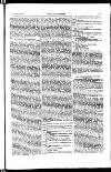 Indian Daily News Thursday 09 October 1902 Page 19