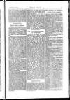 Indian Daily News Thursday 23 October 1902 Page 17