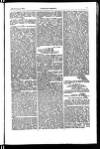 Indian Daily News Thursday 13 November 1902 Page 13