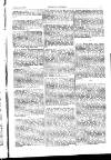 Indian Daily News Thursday 01 January 1903 Page 29