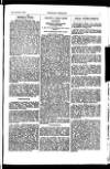 Indian Daily News Thursday 21 January 1904 Page 45
