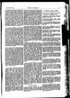 Indian Daily News Thursday 10 March 1904 Page 33