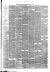 Eastbourne Chronicle Saturday 11 March 1871 Page 3