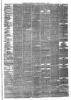 Eastbourne Chronicle Saturday 25 January 1873 Page 3