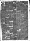 Eastbourne Chronicle Saturday 30 January 1875 Page 2