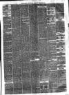 Eastbourne Chronicle Saturday 12 June 1875 Page 3