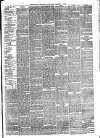 Eastbourne Chronicle Saturday 01 January 1876 Page 3