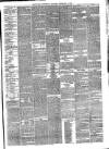 Eastbourne Chronicle Saturday 05 February 1876 Page 3