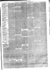 Eastbourne Chronicle Saturday 26 February 1876 Page 3