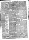 Eastbourne Chronicle Saturday 04 March 1876 Page 3