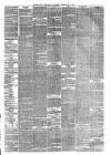 Eastbourne Chronicle Saturday 24 February 1877 Page 3