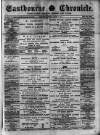 Eastbourne Chronicle Saturday 01 January 1881 Page 1