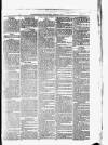 Helensburgh News Thursday 11 January 1877 Page 3