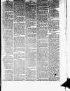 Helensburgh News Thursday 01 February 1877 Page 3