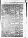 Helensburgh News Thursday 08 February 1877 Page 3