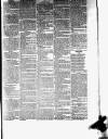 Helensburgh News Thursday 01 March 1877 Page 3