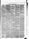 Helensburgh News Thursday 22 March 1877 Page 3