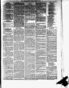 Helensburgh News Thursday 29 March 1877 Page 3