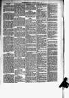 Helensburgh News Thursday 09 January 1879 Page 3
